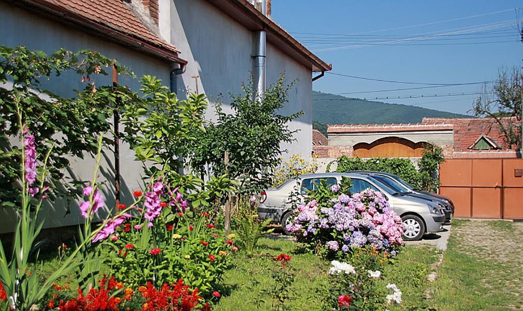 Pensiunea Bendorfeanu Răşinari Exteriör bild