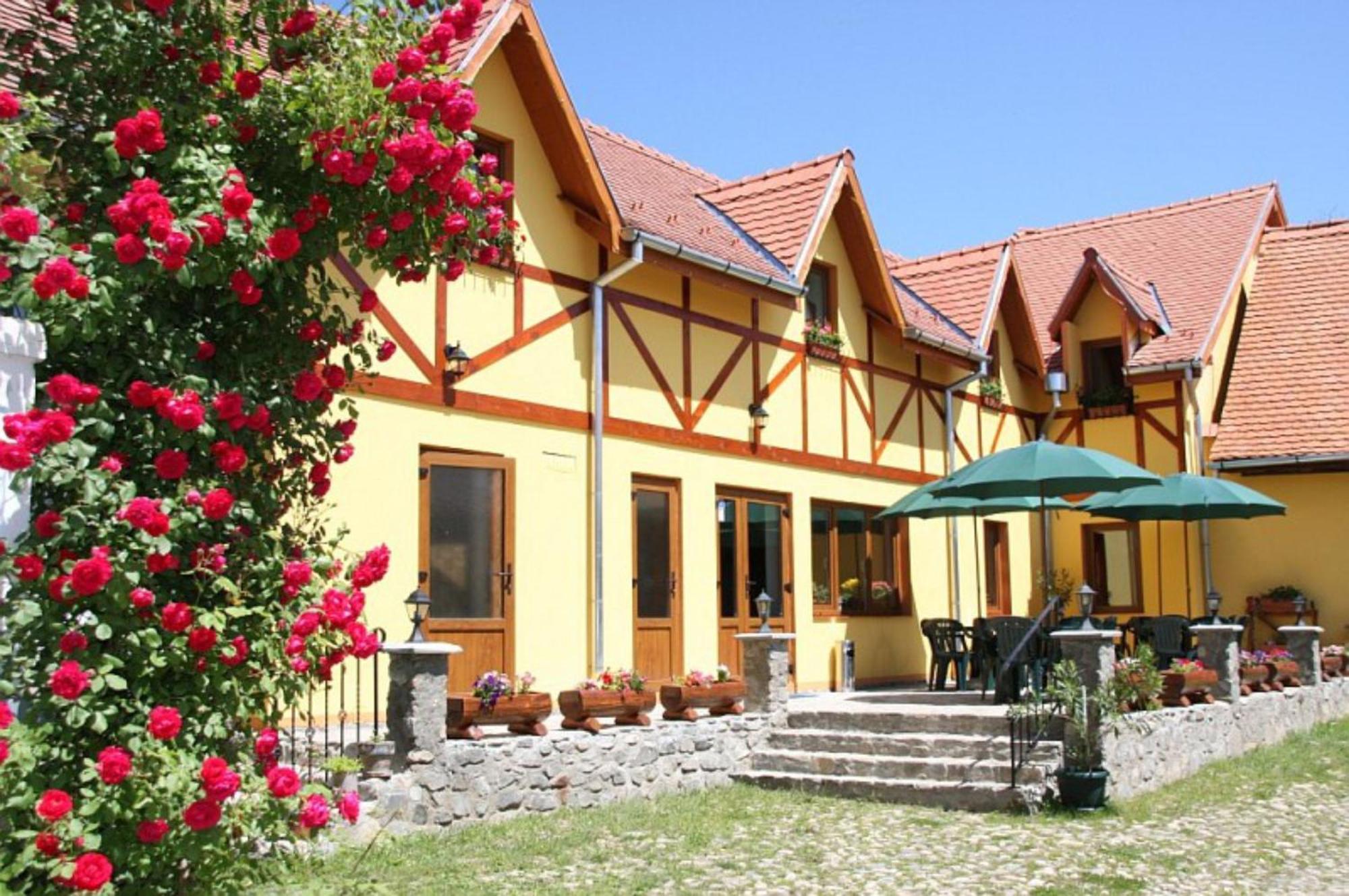 Pensiunea Bendorfeanu Răşinari Exteriör bild