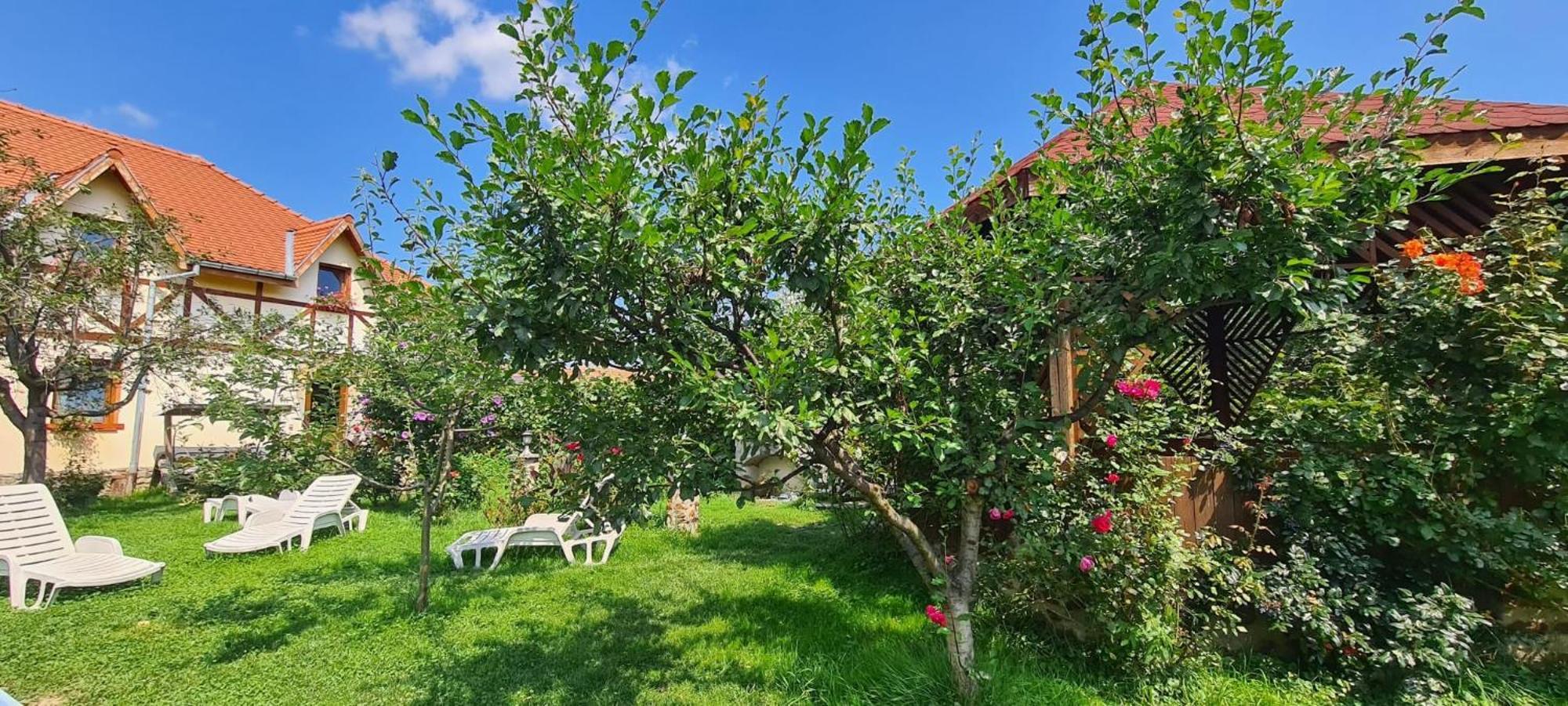 Pensiunea Bendorfeanu Răşinari Exteriör bild