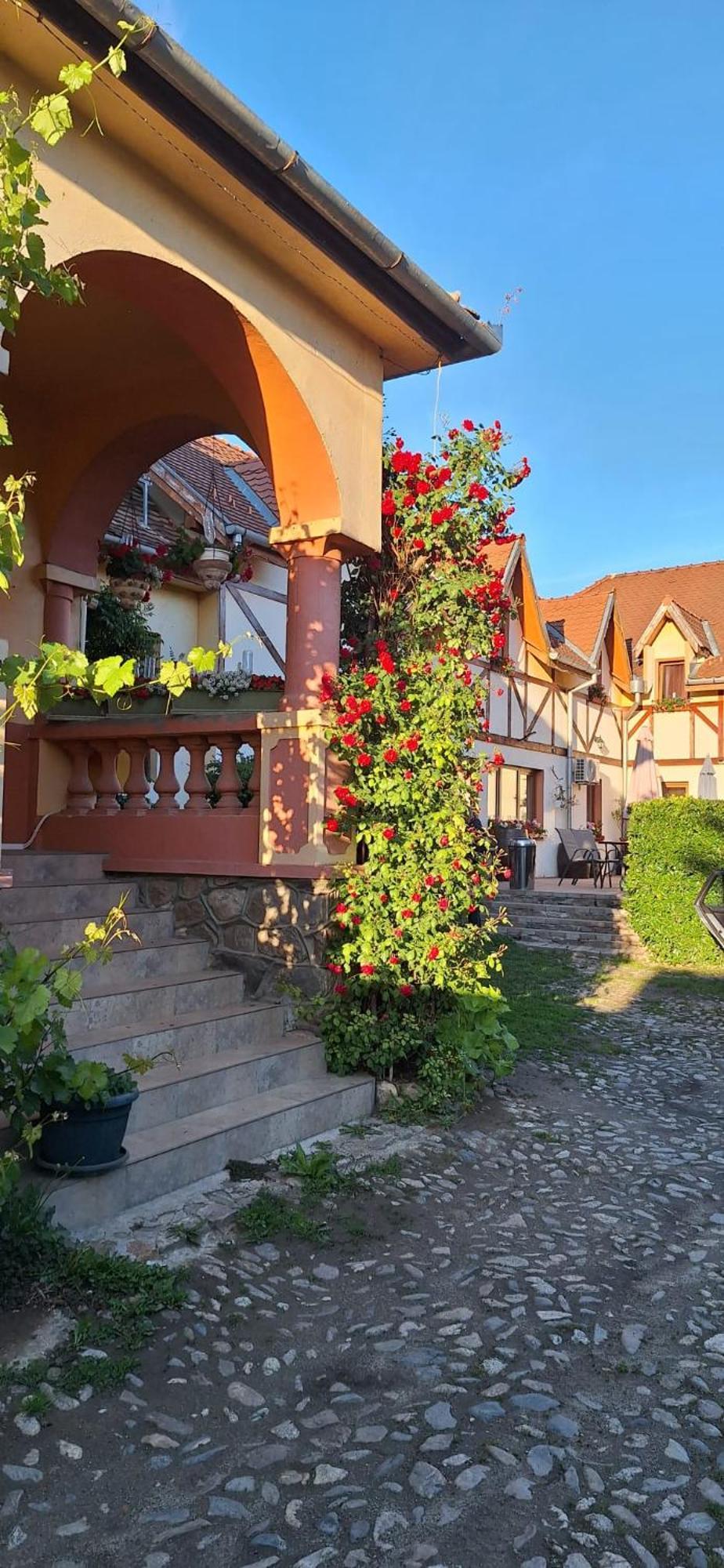 Pensiunea Bendorfeanu Răşinari Exteriör bild