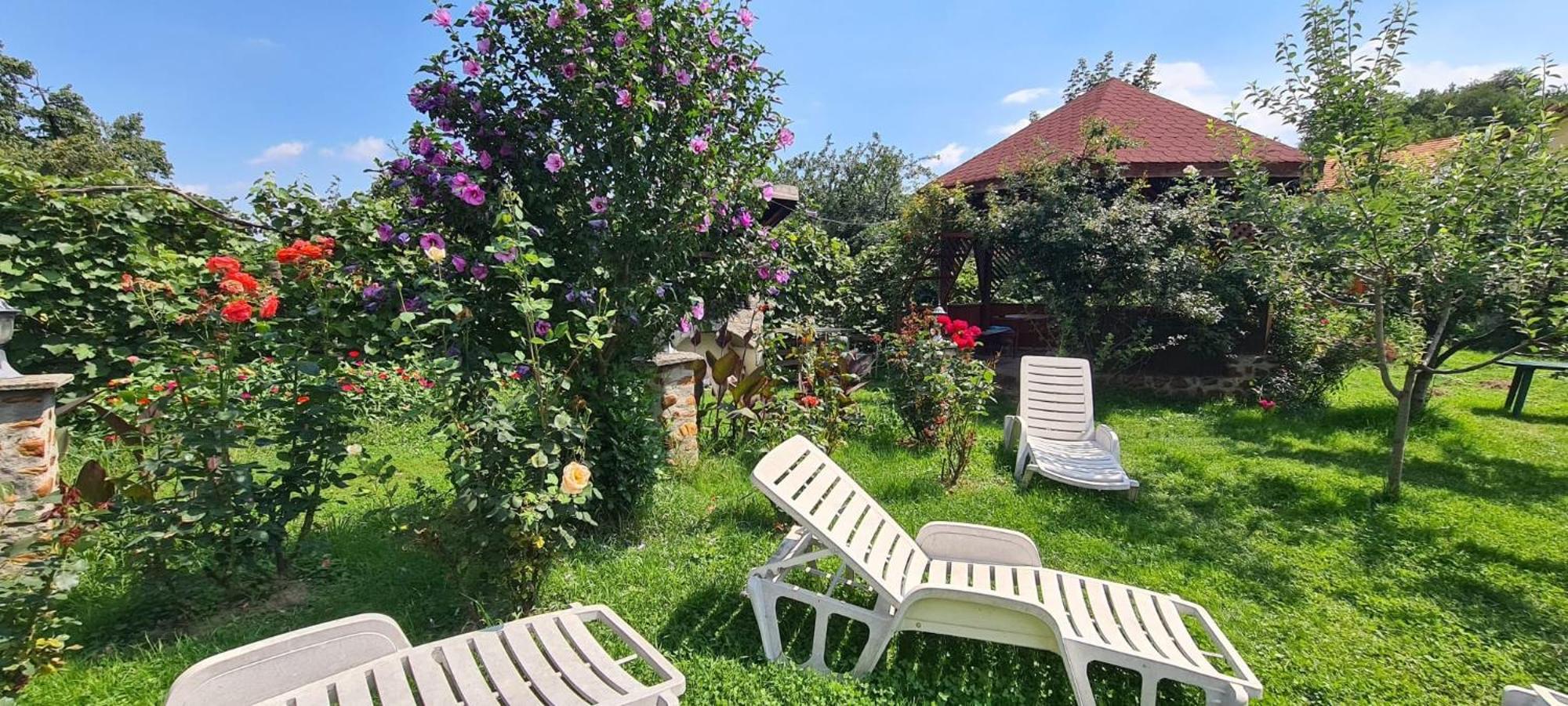 Pensiunea Bendorfeanu Răşinari Exteriör bild