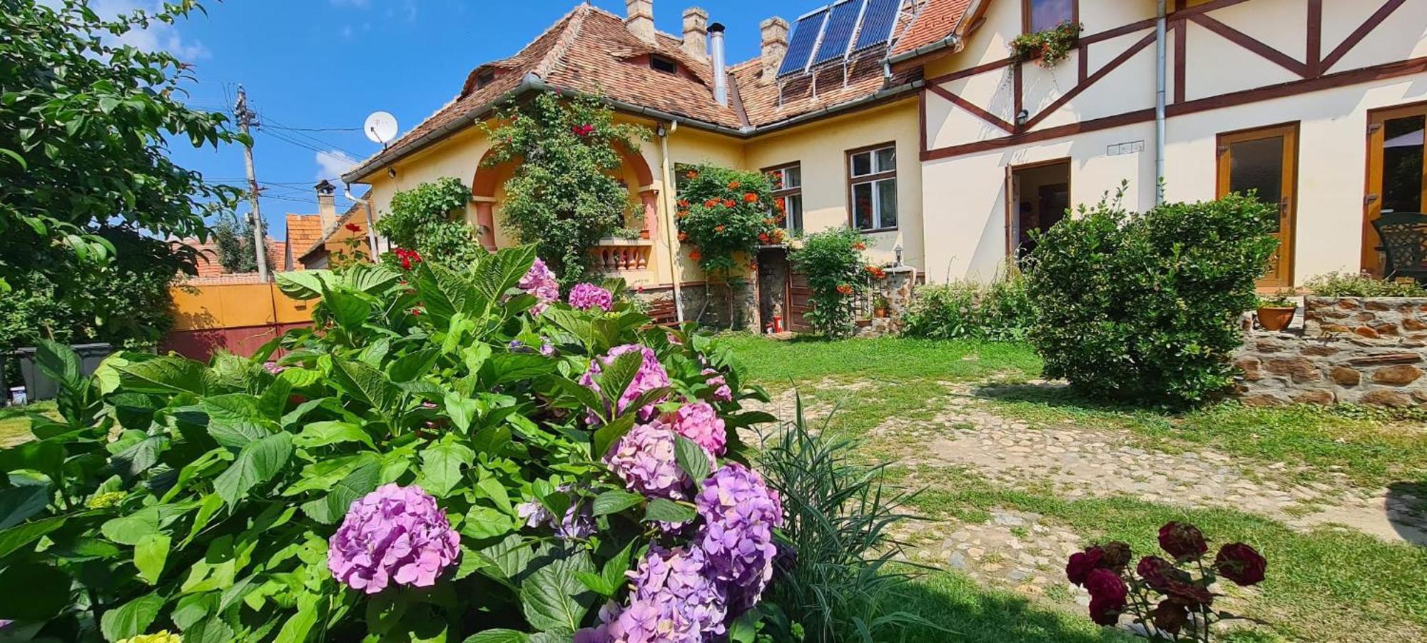Pensiunea Bendorfeanu Răşinari Exteriör bild